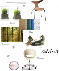 adviezen