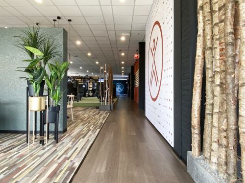 400_32_img_1894_level_up_fitness_loopband_latjeswand.jpg